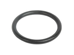 Уплотнительное кольцо Fubag «O» ring для FB P100, 2 шт - фото 279952
