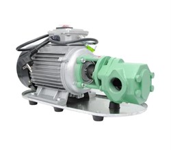 Электрический шестеренный насос Petropump WCB-75, 220В для масла 60 л/мин PP220601 - фото 689690