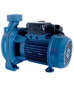 Центробежный насос для ДТ Gespasa CG-150 230V AC 02050-CF00000 - фото 690385