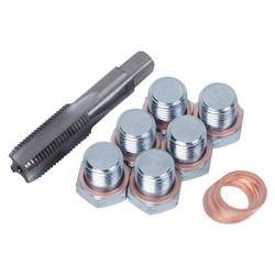 Набор для ремонта масляных пробок М15х1,5, кейс, 19 предметов МАСТАК 103-47015C 103-47015C - фото 717591