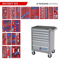 Набор инструментов "ЭКСПЕРТ 323" в серой тележке, 323 предмета МАСТАК 52-07323G 52-07323G - фото 722142