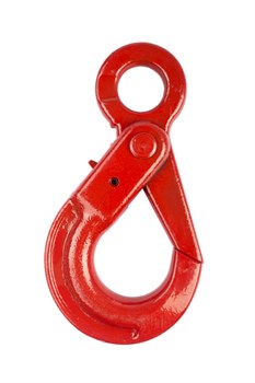 Крюк самозакрывающийся с проушиной TOR 5,3 т (W) 1046135 - фото 818631