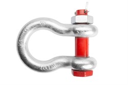 Скоба омегообразная TOR 17,0 т (тип G2130) (Q) 1231706 - фото 819372