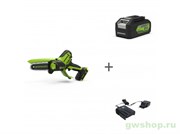 Пила цепная аккумуляторная GREENWORKS G24MCS10 24V + АКБ 4Ач и ЗУ Greenworks 2008207UB
