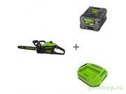 Пила цепная аккумуляторная GREENWORKS GD60CS25 60V с АКБ 5 Ач и ЗУ Greenworks 2008907UG