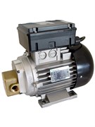 Шестеренчатый насос для смазочных материалов вязкостью до 350 cSt Gespasa EA-88 230V AC 03070-CF00000