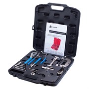 Набор фиксаторов распредвала / коленвала, RENAULT, кейс, 20 предметов МАСТАК 103-21801C 103-21801C