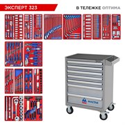Набор инструментов "ЭКСПЕРТ 323" в серой тележке, 323 предмета МАСТАК 52-07323G 52-07323G