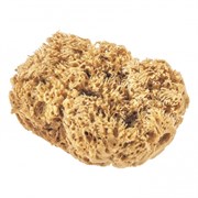 Губка натуральная для декоративных покрытий Matrix 86817