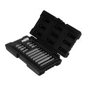 Набор бит TORX, хвостовик-шестигранник, 10 мм, CrV, 15 предметов Stels 11315