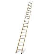 Лестница приставная составная Луч 9 ступеней ЛСПС-3,3-Ф73М