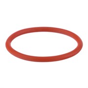 Кольцо уплотнительное IPT 100 NKS0002 Сварка