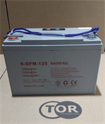 Аккумулятор для штабелёров CDD15R-E/CDD10R-E/CDD12R-E/IWS/WS/CTD/DYC 12V/125Ah гелевый (Gel battery) 1018884