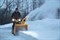 Снегоуборщик бензиновый Cub Cadet XS3 76 SWE - фото 276908 Снегоуборщик бензиновый Cub Cadet XS3 76 SWE - фото 276908