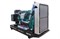 Дизель генератор GMGen GMV600 - фото 277471 Дизель генератор GMGen GMV600 - фото 277471