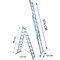 Лестница двухсекционная Стандарт 14 ступеней - фото 279040