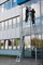 Лестница Krause Stabilo Professional для чистки стекол, набор из 4 частей 842107 - фото 398686 Лестница Krause Stabilo Professional для чистки стекол, набор из 4 частей 842107 - фото 398686