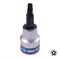 Насадка (бита) торцевая 3/8", Torx plus, IPR25, L = 50 мм KING TONY 302D25 TONY - фото 678512