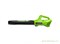 Воздуходув аккумуляторный 24V GREENWORKS Greenworks 2404807 - фото 684762