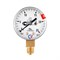 Манометр с поверкой 25,0 МПа, углекислый газ Сварка - фото 805492
